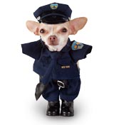Security Dog